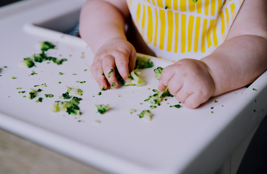 diversification alimentaire bébé