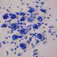 EAU DE FLEUR DE BLEUET