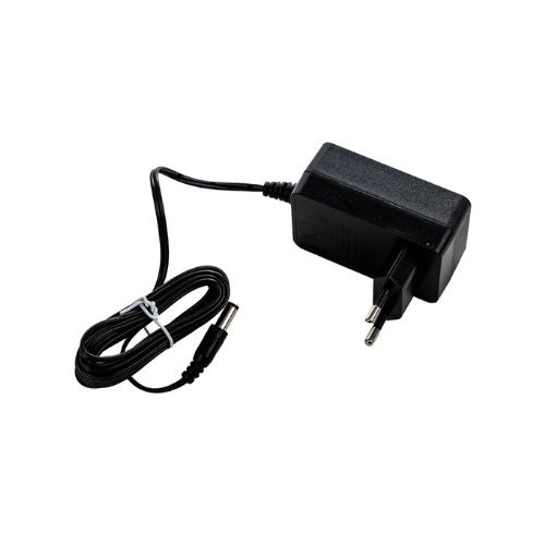 Adaptateur plus câble fiche plate EU Balancelle Swoon Evolution A055020SAV502